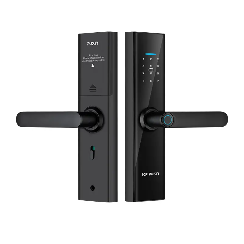 Sarraila elektronikoa