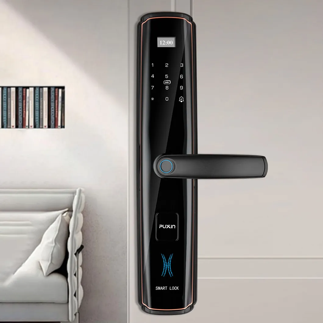 Sarraila adimendunen abantailak